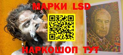спайс Аша