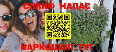 трава Ачхой-Мартан