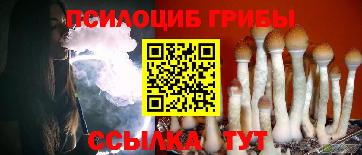 Галлюциногенные грибы GOLDEN TEACHER Джанкой